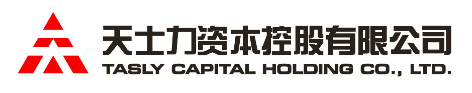 凯发k8一触即发资本控股有限公司